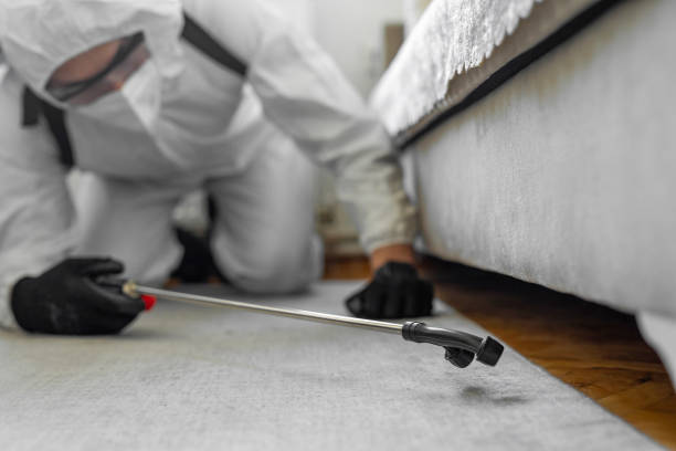 Professional Termite Control technician working in Smithsburg, MD