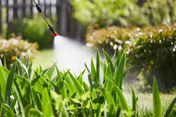 24/7 Emergency Termite Control experts in Smithsburg, MD